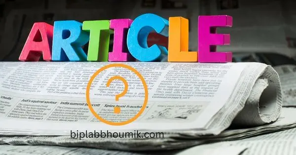 what is article